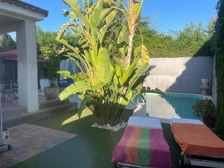 Atuaire Home Sevilla Mairena del Aljarafe Kültér fotó