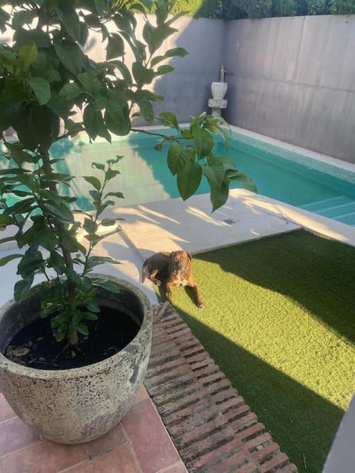 Atuaire Home Sevilla Mairena del Aljarafe Kültér fotó