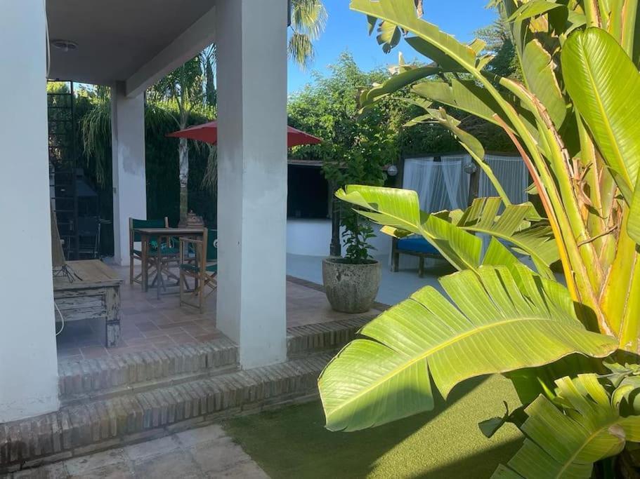 Atuaire Home Sevilla Mairena del Aljarafe Kültér fotó